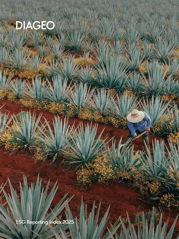 Diageo ESG Reporting Index 2025