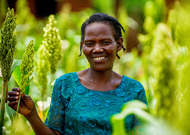 Helping small holder Farmers. Female Farmer surounded by Green crops