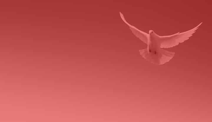 144_Peace_Discussion_1_Timeline_Homepage