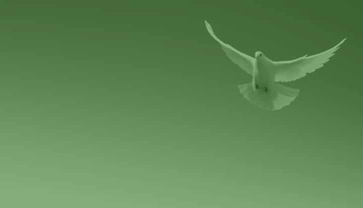 144_Peace_Discussion_2_Timeline_Homepage