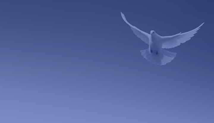 144_Peace_Discussion_3_Timeline_Homepage