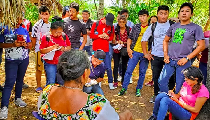 Rainforest Alliance Youth