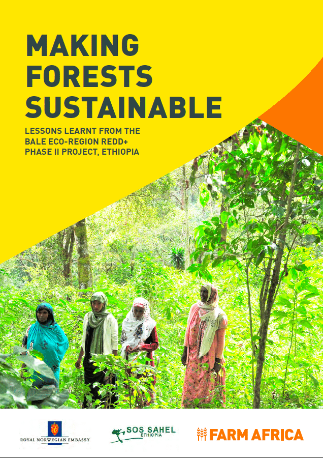 New Report: Making Forest Sustainable