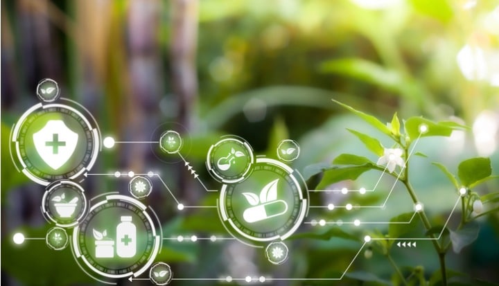 internet-of-things-futuristic-ai-technology-with-alternative-medicine-concept-natural-herbal