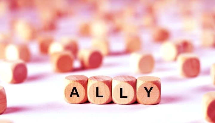 ALLY Dice