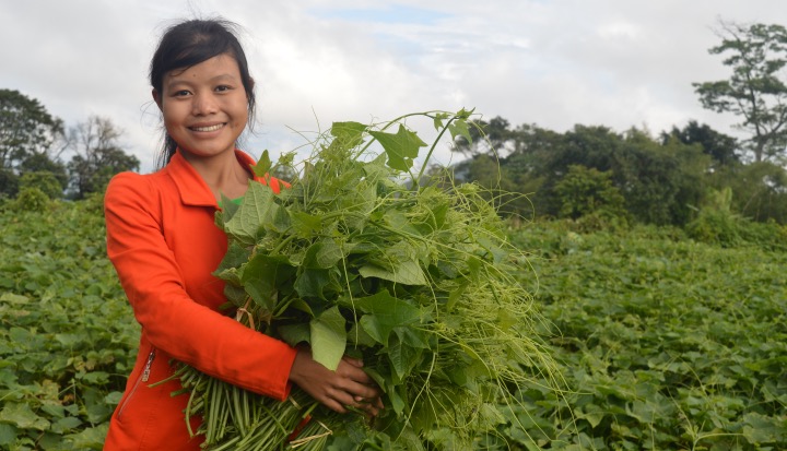 A woman participates in agricultural activities in Myanmar