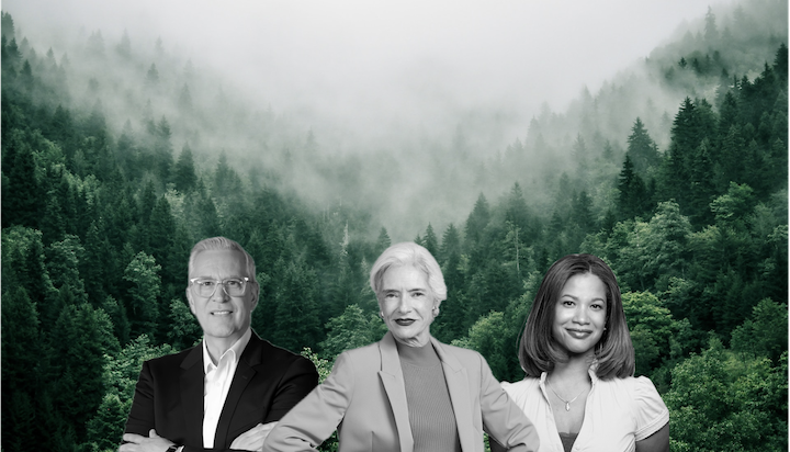 Leadership and Governance on Sustainability