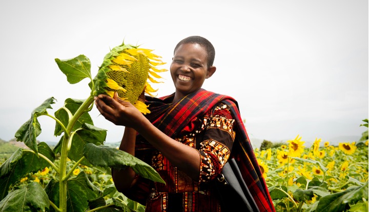 Smallholder Farmers: Female Farmer holding a Sunflower.