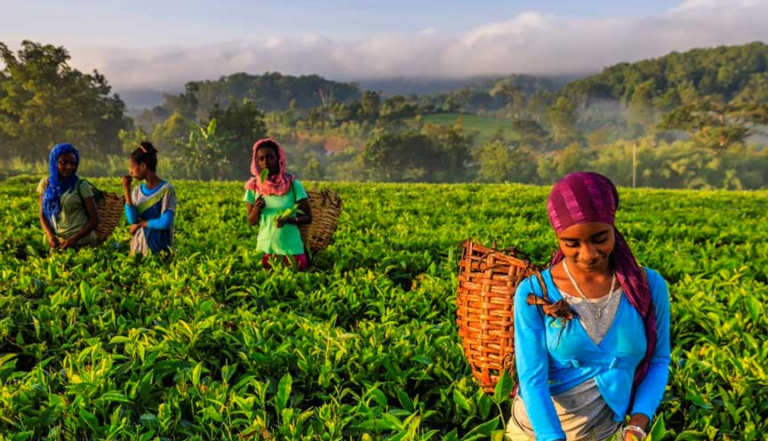 Decarbonisation with a Gender Lens