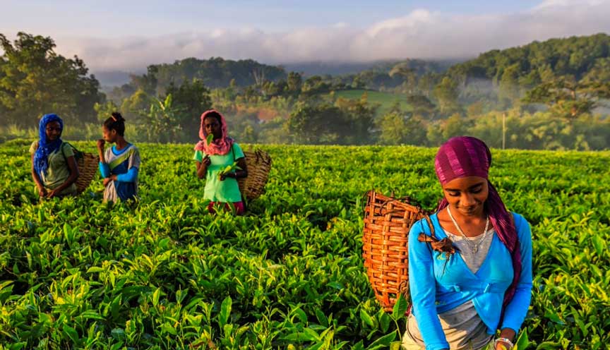 Decarbonisation with a Gender Lens