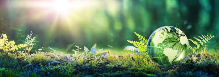 Environment Concept - Globe Glass In Green Forest With Sunlight