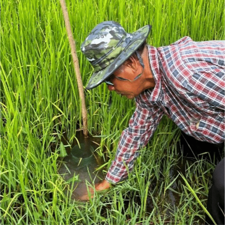 Working with rice farmers to champion climate-smart agriculture in our food