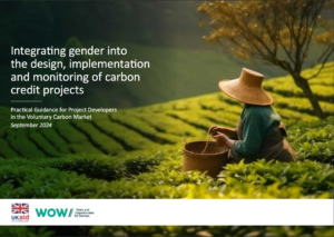 Gender Voluntary Carbon Market