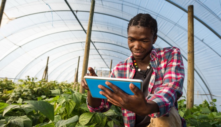Young African Farmer with Tablet