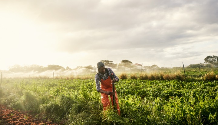 market systems development for climate action