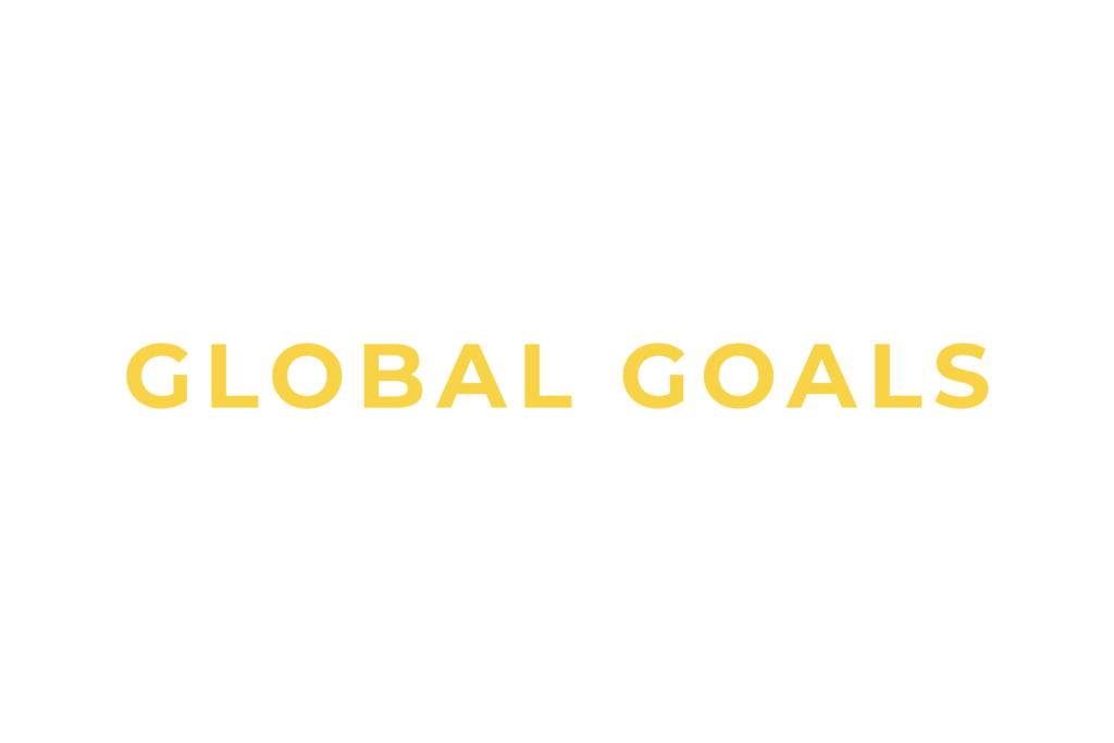 Global goals summit 2025 title