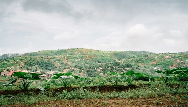 Beyond CSR Five Reasons Businesses Are Using Impact Investing to Fight Poverty in 2026