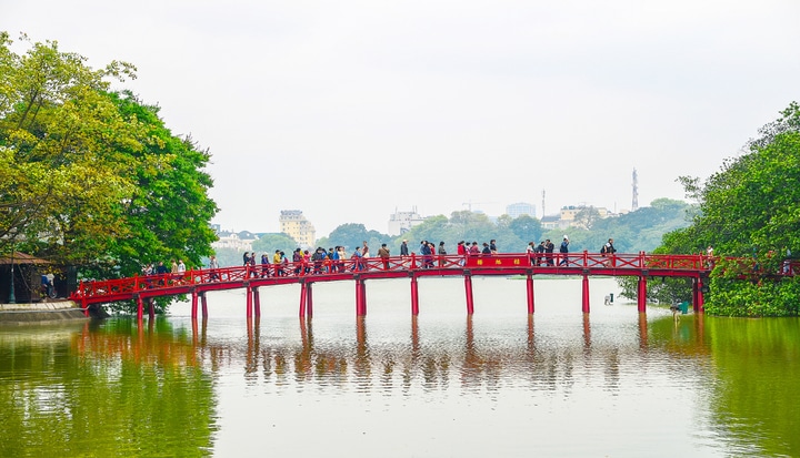 Translating sustainability insights into action