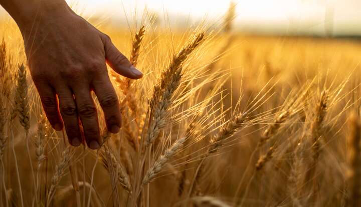 First mile supply chain traceability