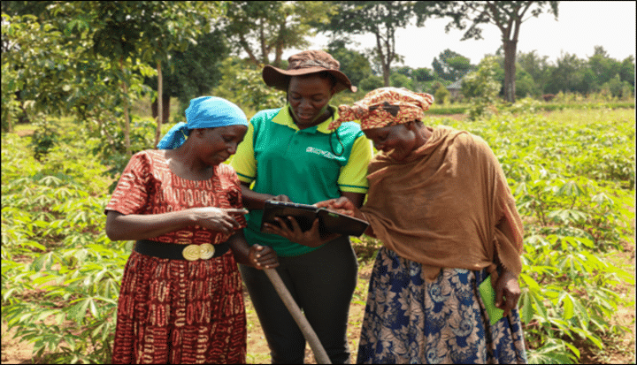 Digital advisory services for smallholder farmers