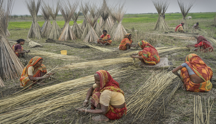 Sustainability standards and small-scale producers: from risk management to resilience