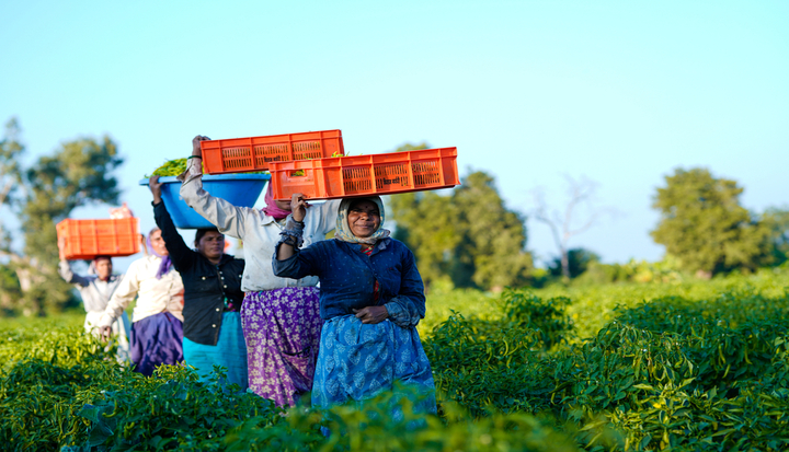 women-farmers-food-systems-food-loss-waste