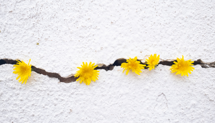 antifragility business strategy