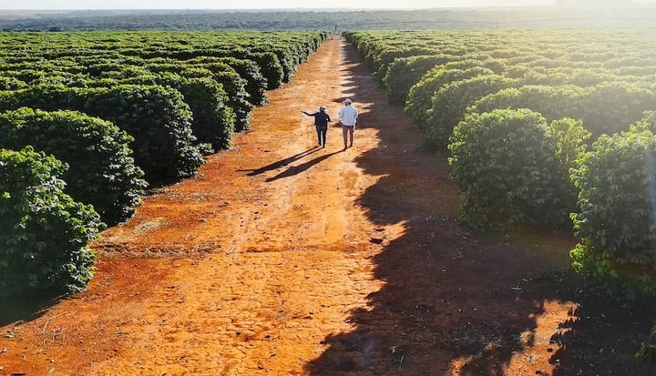 supply chain sustainability
