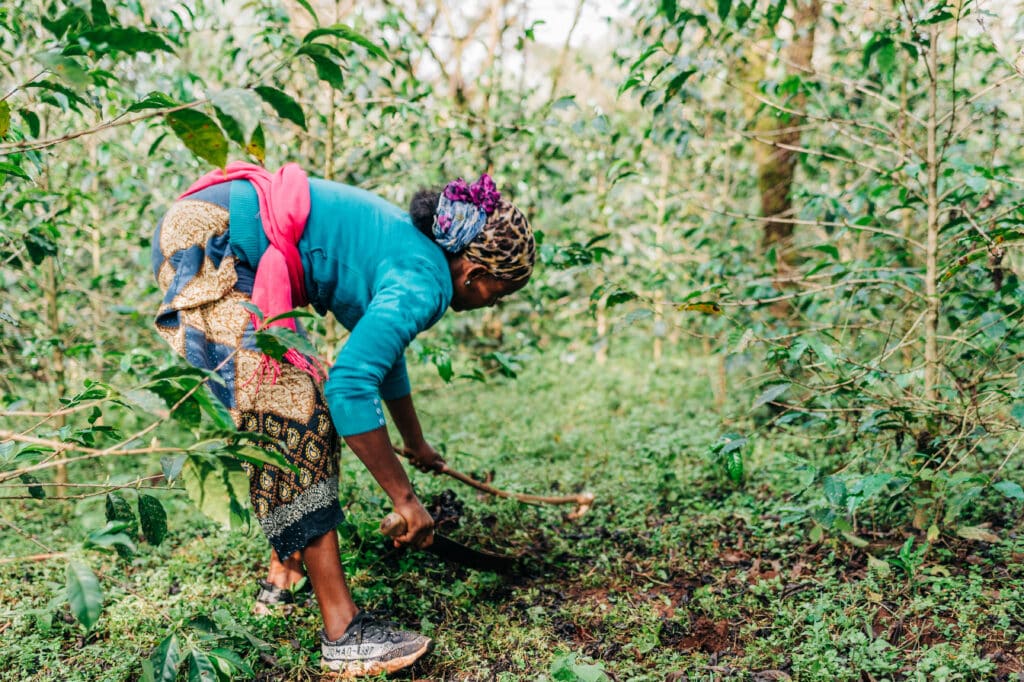 regenerative-agriculture-farmer-income
